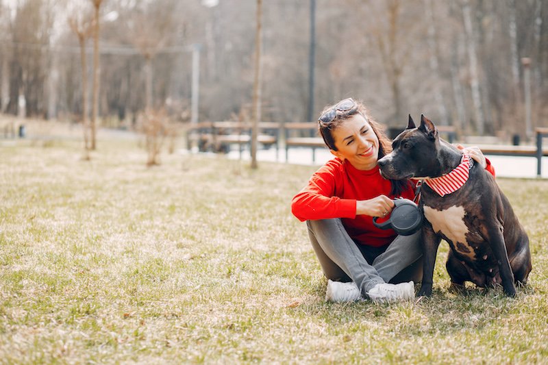Que faire si mon chien se gratte encore après une bonne alimentation ?