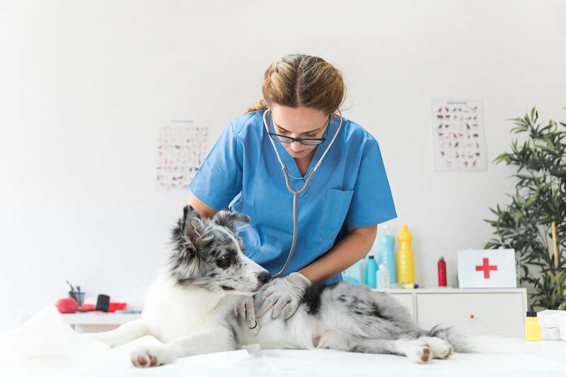 Les traitements de la dermatite peuvent être coûteux