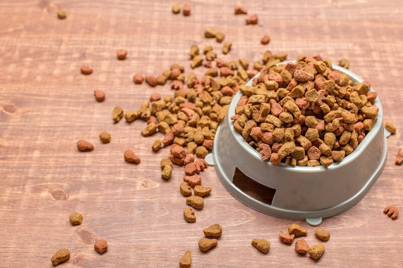 La nourriture étant à l'origine de l'aggravation des crises d'arthrose du chien, il faut lui trouver une alimentation adaptée à ses besoins originels