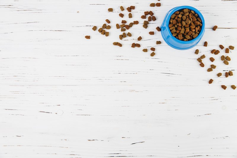 Une bonne croquette pour chien peut régler les soucis liés au fait que mon chien se gratte les pattes