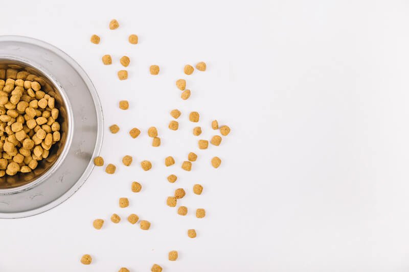 Les 5 critères-clés pour acheter les meilleures croquettes pour chien contre la dermatite atopique