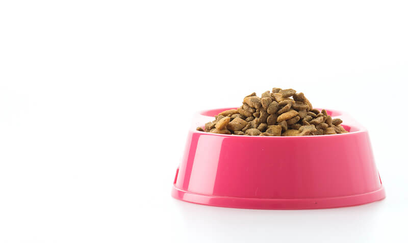 Qualité et quantité : voilà les deux éléments à surveiller dans la nourriture de votre chien souffrant d'obésité