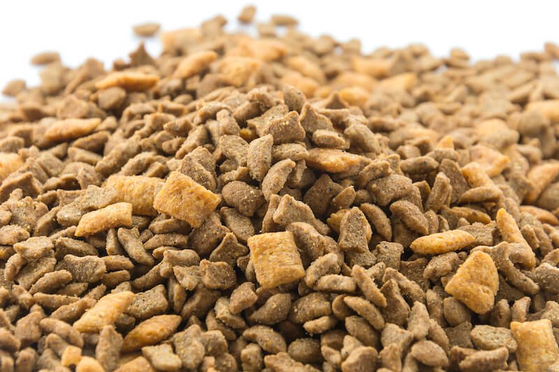Attention : faire maigrir son chien avec des haricots verts peut s'avérer très dangereux pour sa santé !
