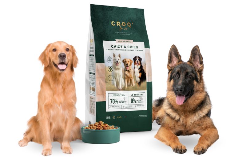 Découvrez les meilleures croquettes pour votre chien sauveteur !