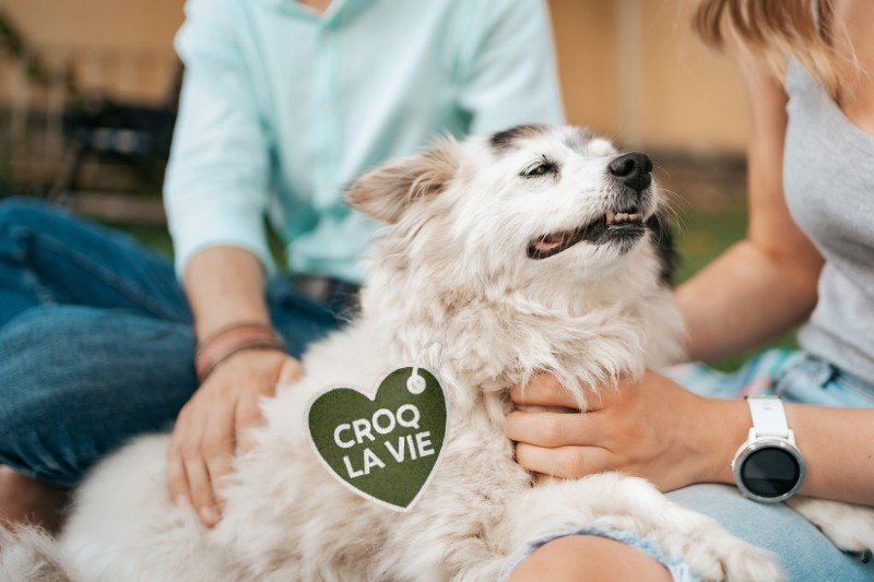 Famille contente dans la nature ayant résolu la giardiose leur chien avec les croquettes CROQ' la Vie