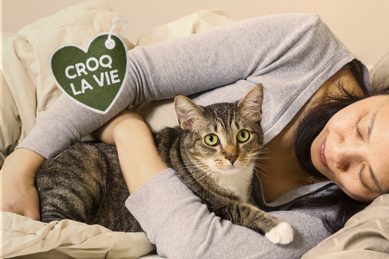 Maîtresse fait des câlins à son chat, elle est heureuse d'avoir pu aider son chat avec ses problèmes d'insuffisance rénale. C'est grâce aux conseils d'éleveurs ce la famille des Joyeuses Gambades et aux croquettes CROQ' la Vie.