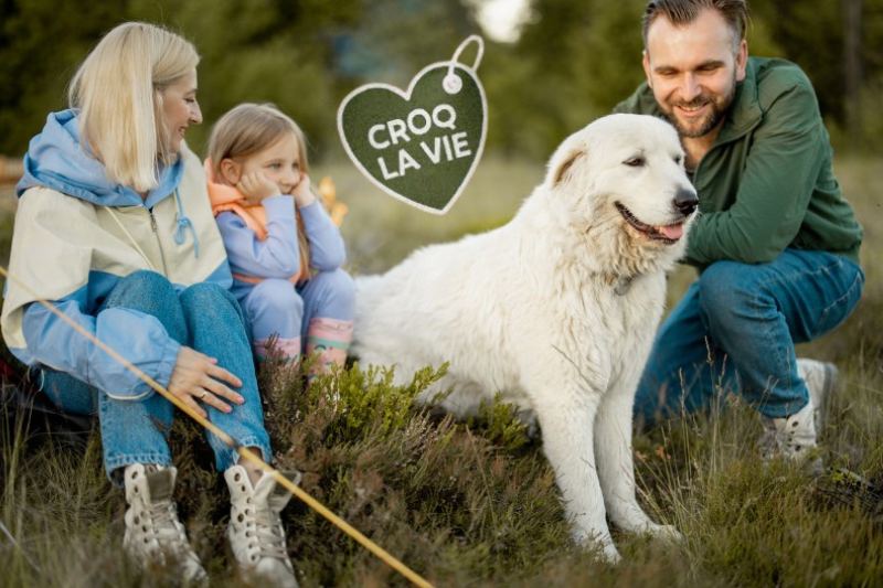 Famille en promenade avec son chien, heureuse d'avoir amélioré sa santé rénale et urinaire de manière naturelle. Le chat est un pleine santé grâce aux conseils d'éleveurs et aux croquettes CROQ' la Vie.